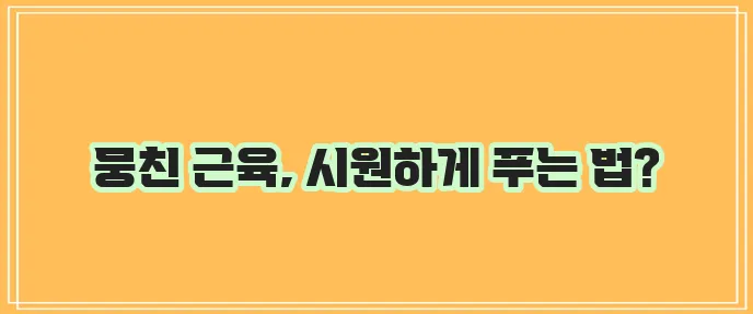 폼롤러 운동법 폼롤러 활용법을 자세히 알아봐요!