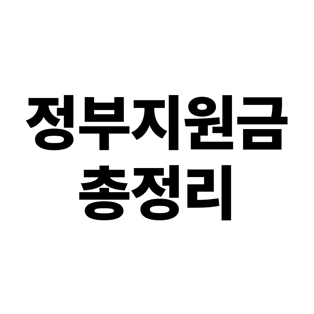 정부지원금 총정리 사진
