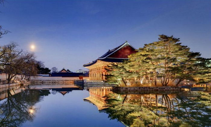 창경궁 야간 상시관람사진