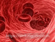 사업장 건강검진