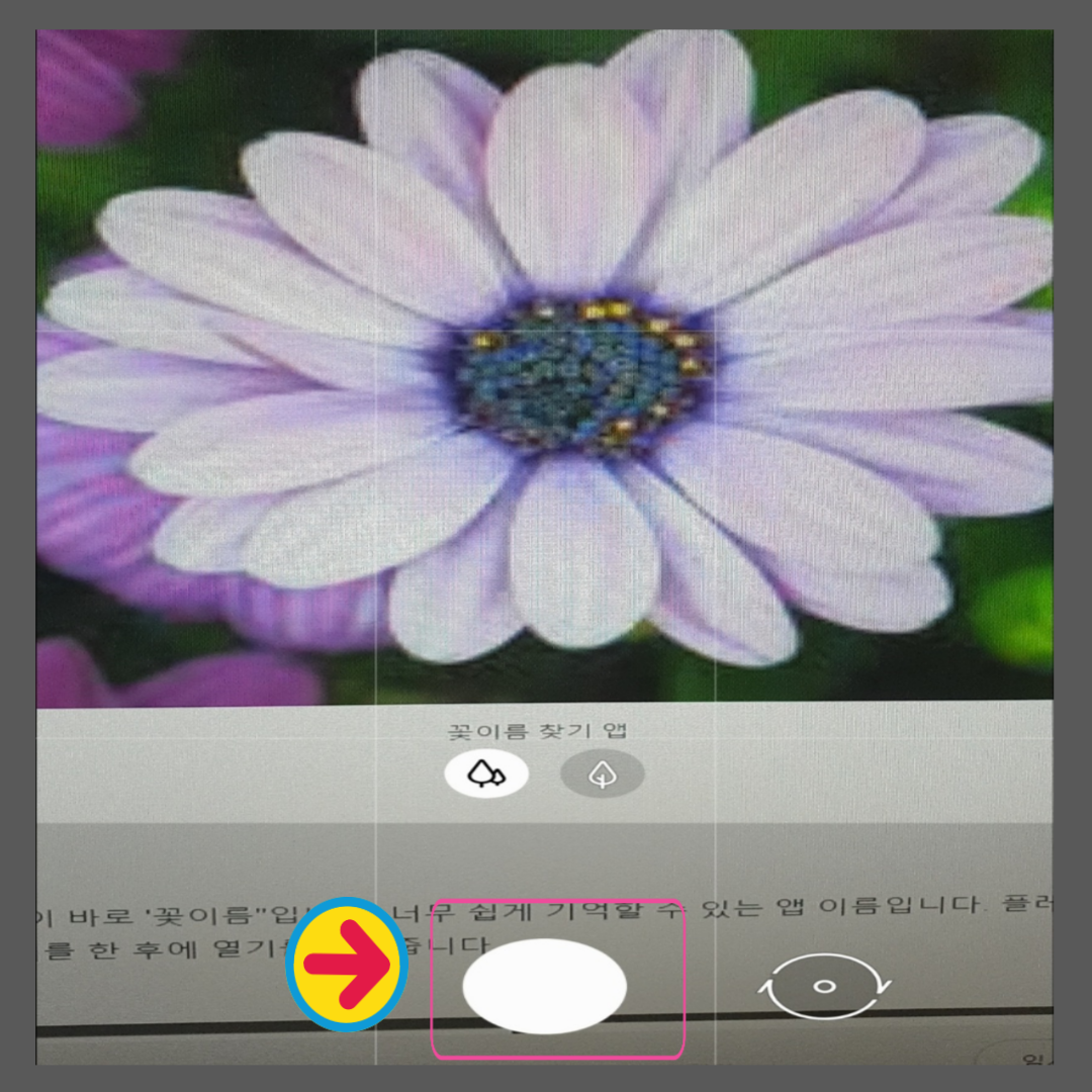 꽃 이름 찾기 앱
