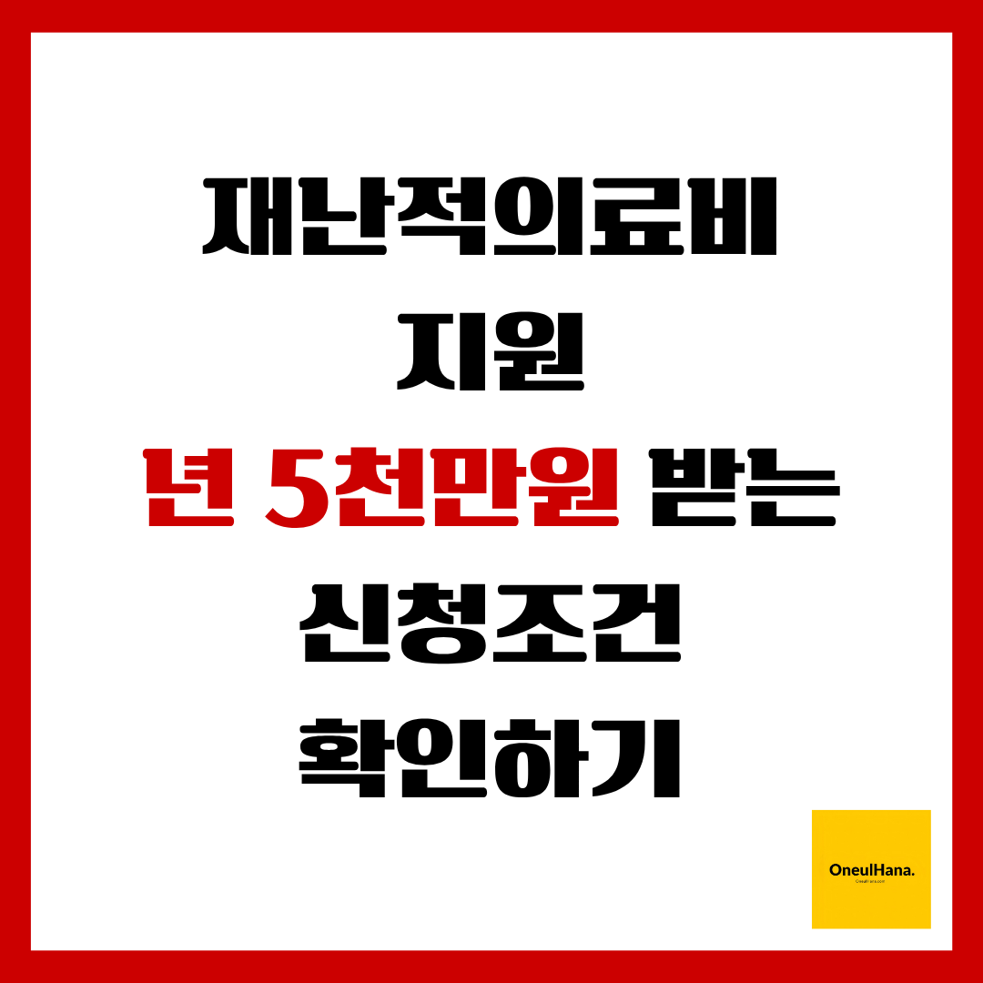 재난적의료비지원사업