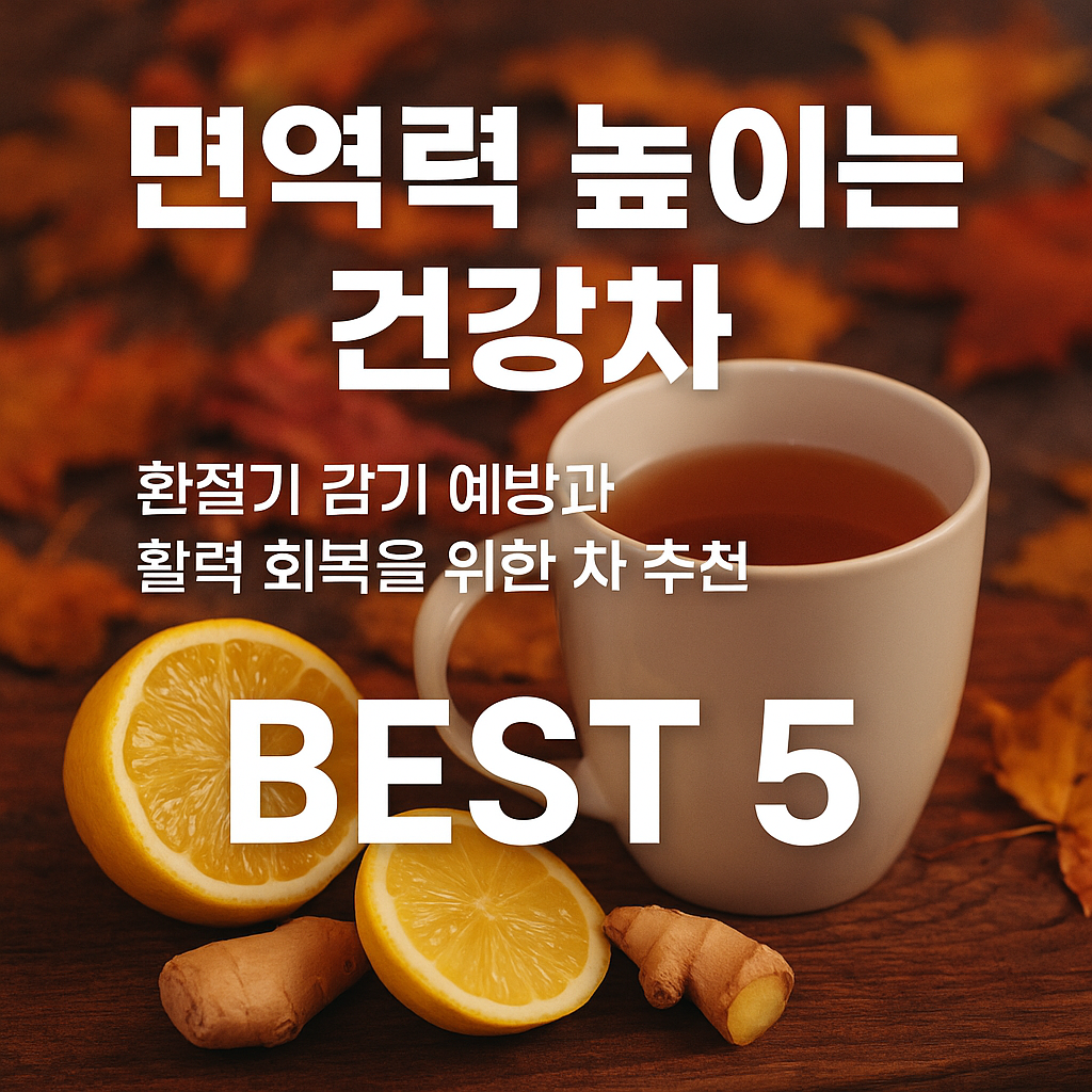 면역력 높이는 건강차 5가지 – 환절기 감기 예방과 활력 회복을 위한 차 추천