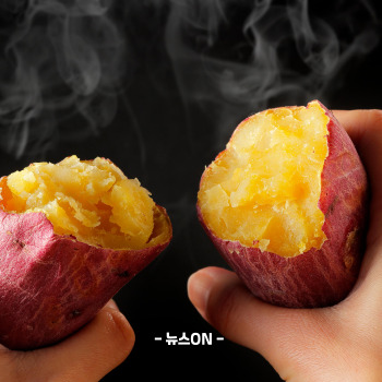 수능 아침에 좋은 음식