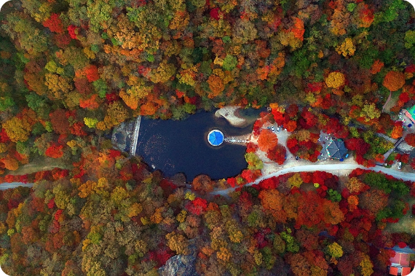 내장산 우화정 이미지/ 출처: 대한민국 구석구석