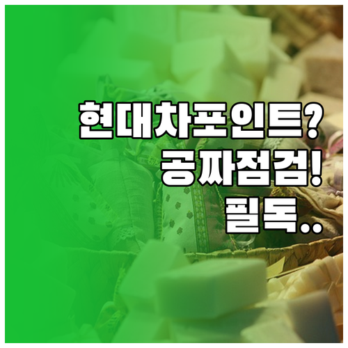 현대자동차 블루멤버스 포인트 결제와 ..