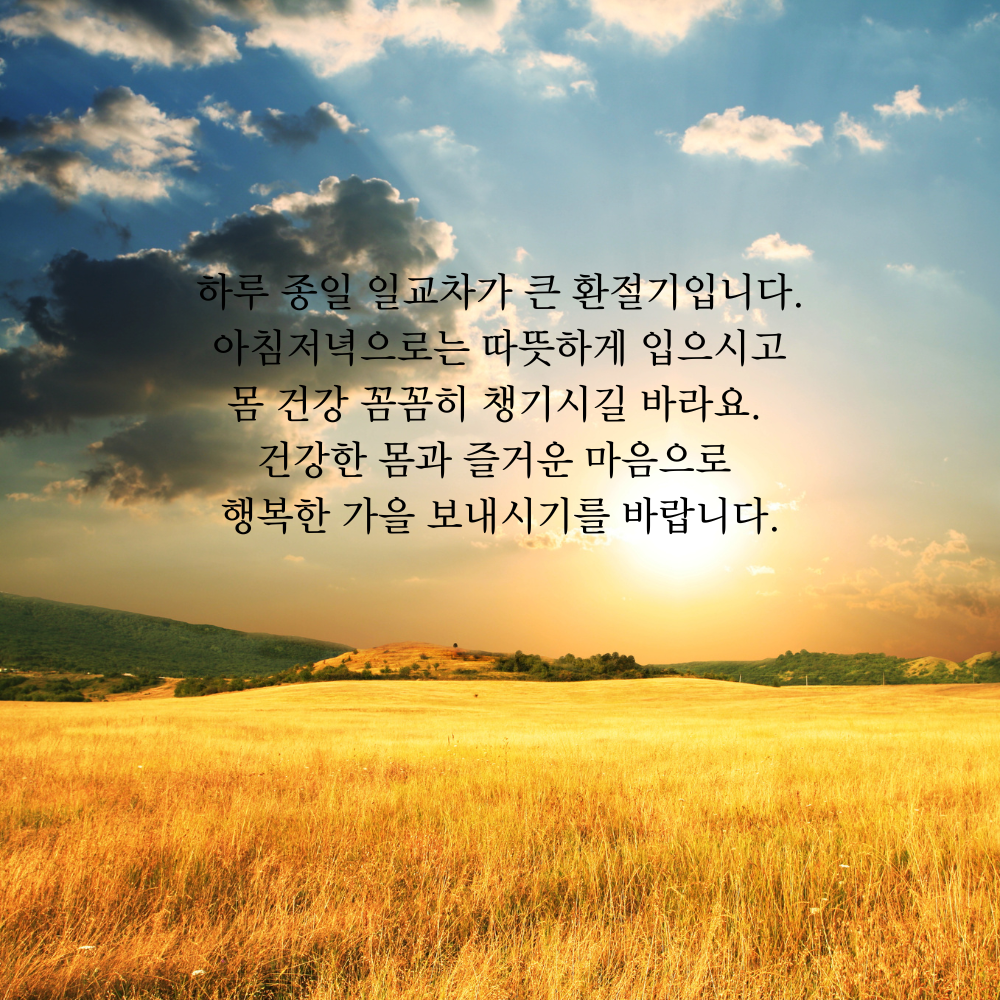 가을 인사말 추분 이미지 문구 모음집
