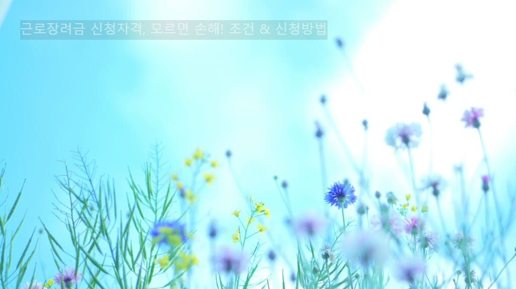 근로장려금 신청자격, 모르면 손해! 조건 & 신청방법