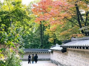 가을 단풍 여행지 베스트10 산책로 사진스팟 대중교통으로 여유롭게_5