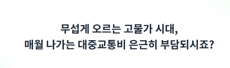 기후동행카드 3만원환급