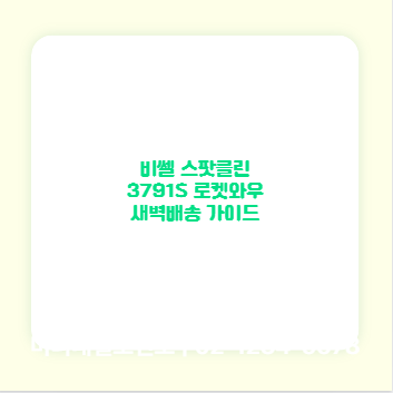 비쎌 스팟클린 3791S 로켓와우 새벽배송 가이드