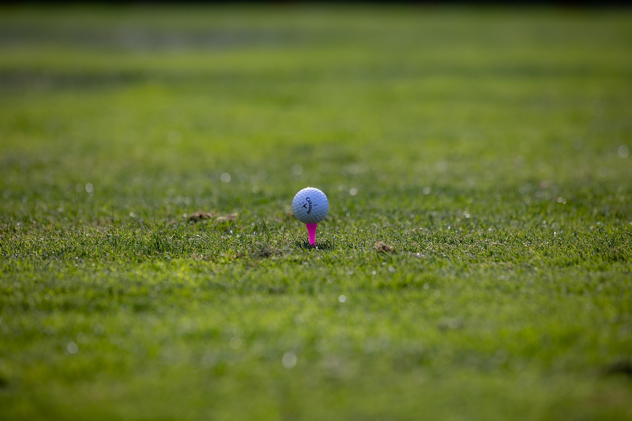 2025 샌더슨 팜스 챔피언십 완벽 가이드 (PGA, 가을 시리즈, Country Club of Jackson)