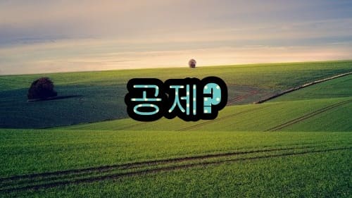 비사업용토지 장기보유특별공제