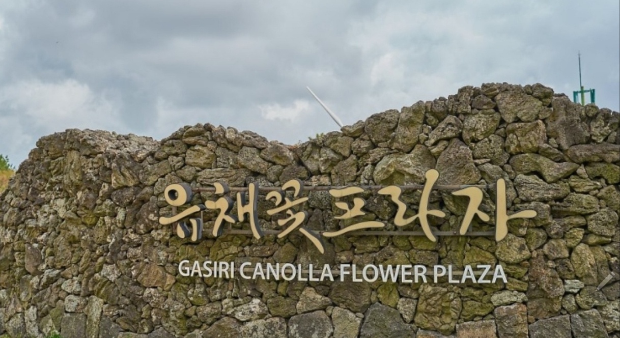 녹산로 유채꽃 프라자 이미지