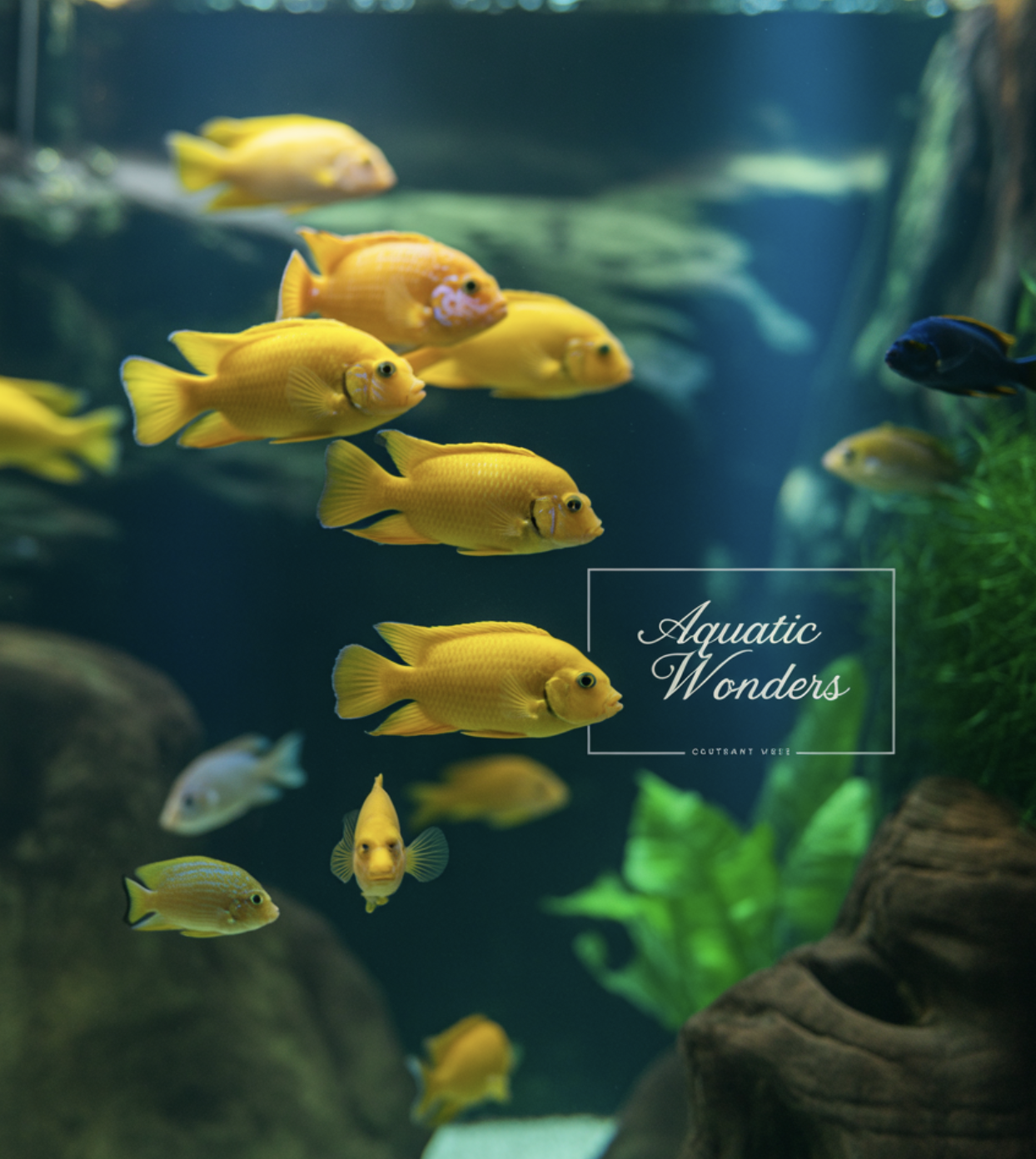 어떤 친구와 잘 지낼까요? (합사 정보)