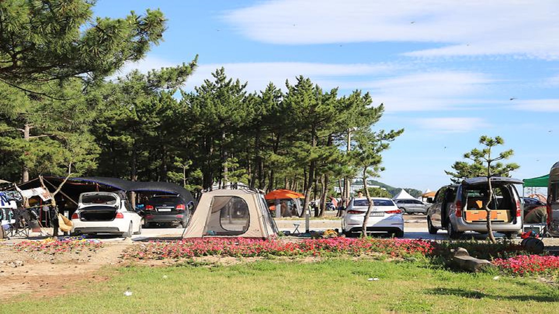 양양 낙산해변야영장 바로가기