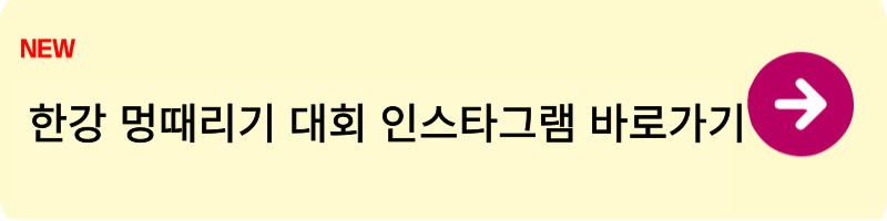한강 멍때리기 대회 신청방법2