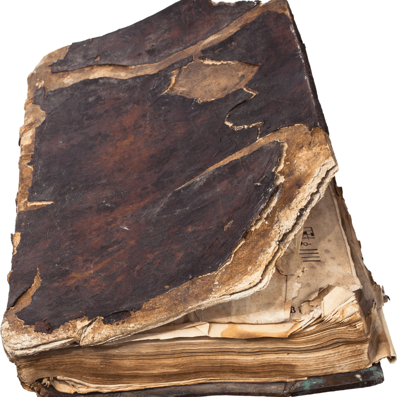 인터넷 사주 무료 사이트