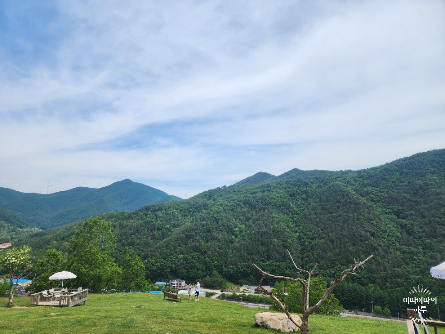 강원도 태백 여행 몽토랑 산양목장 포토존