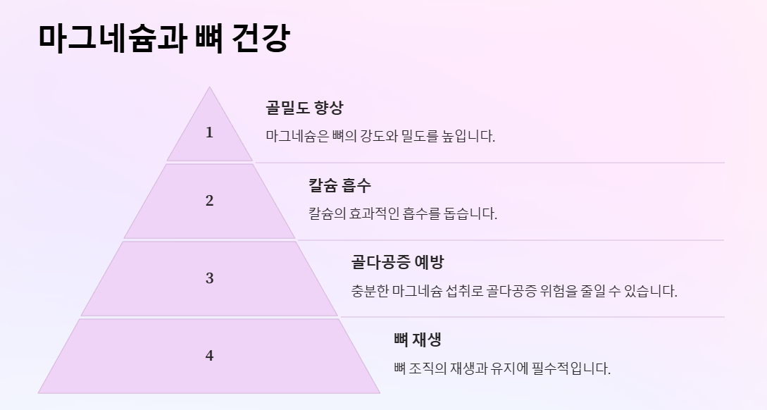 마그네슘과 뼈 건강