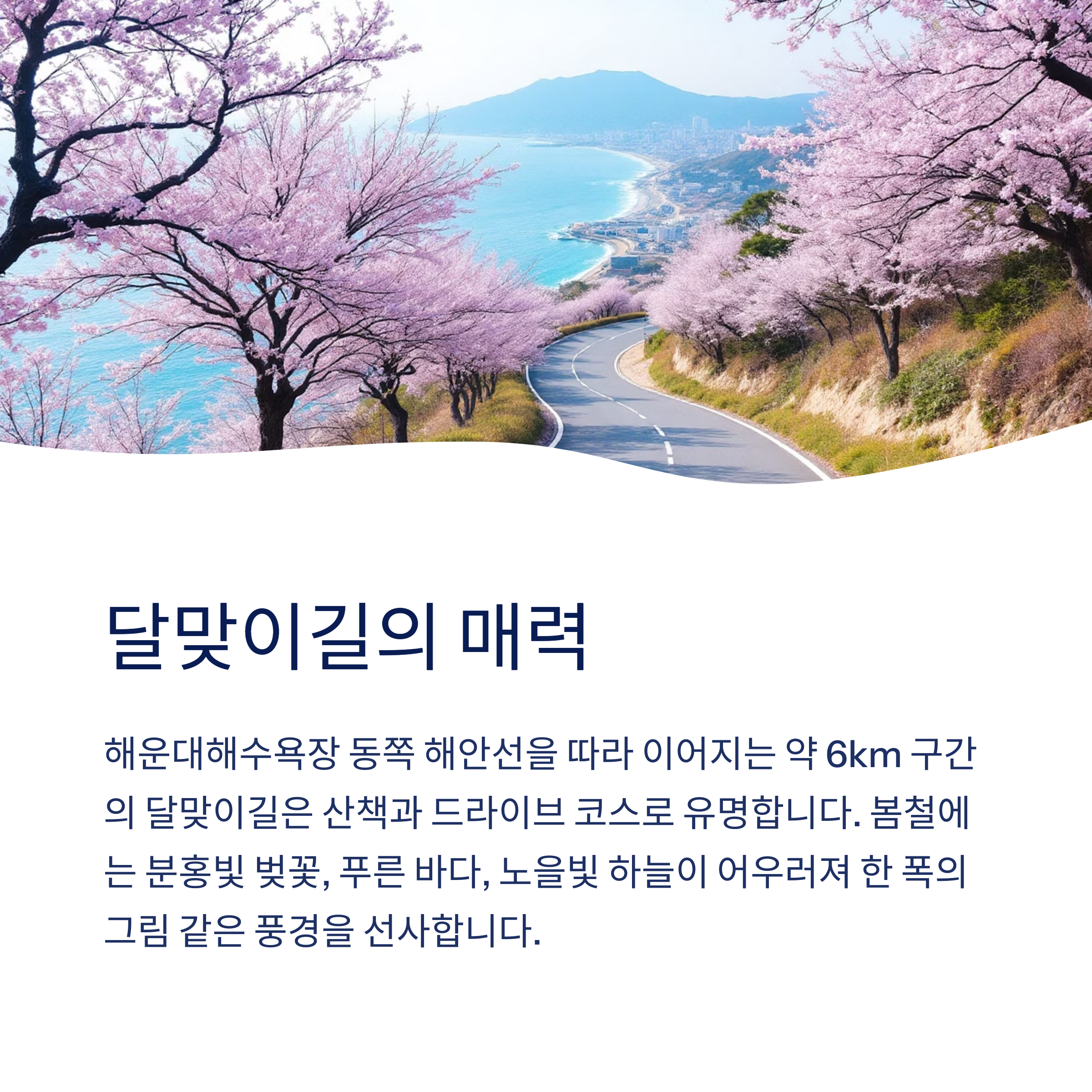 해운대 달맞이길의 자연 풍광과 사진 명소