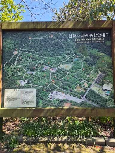 제주 한라수목원 대나무숲길