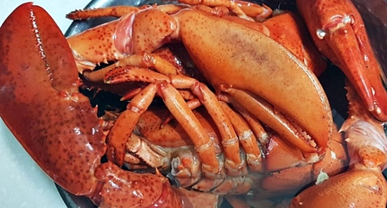 홈쇼핑에서 주문한 자이언트킹 랍스타