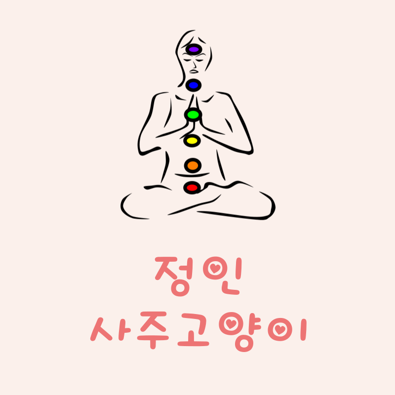 정인이란