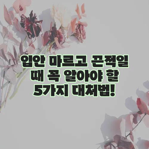 입안 마르고 끈적일 때 꼭 알아야 할 5가지 대처법!