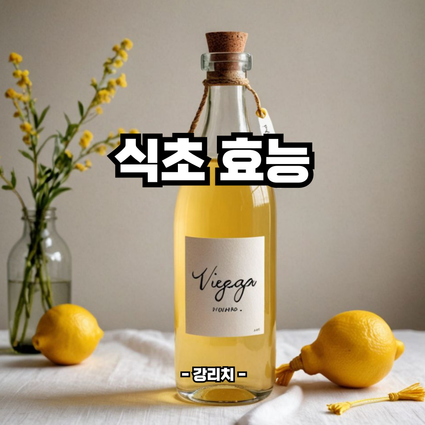 식초 효능