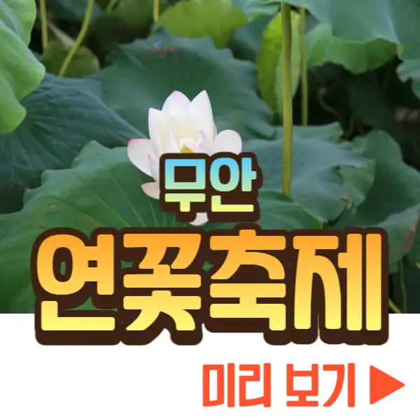 무안 연꽃축제