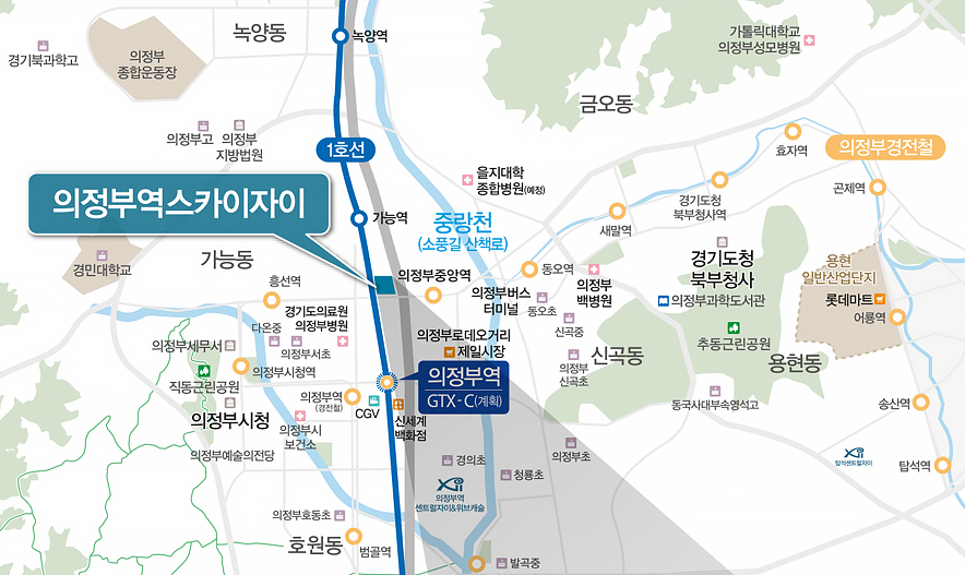 스카이자이입지