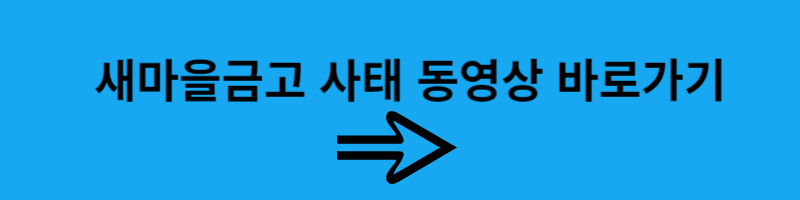 새마을금고 뱅크런