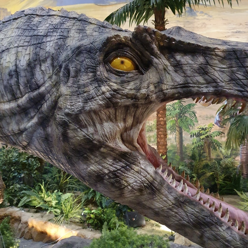 경남고성공룡엑스포