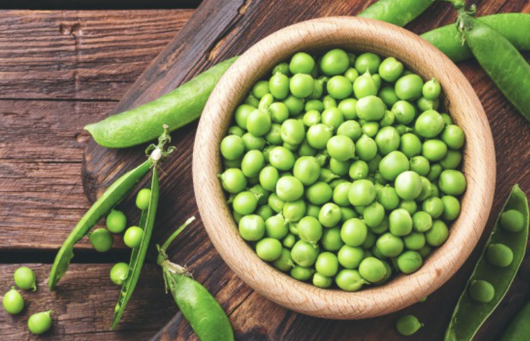 완두콩 보관방법