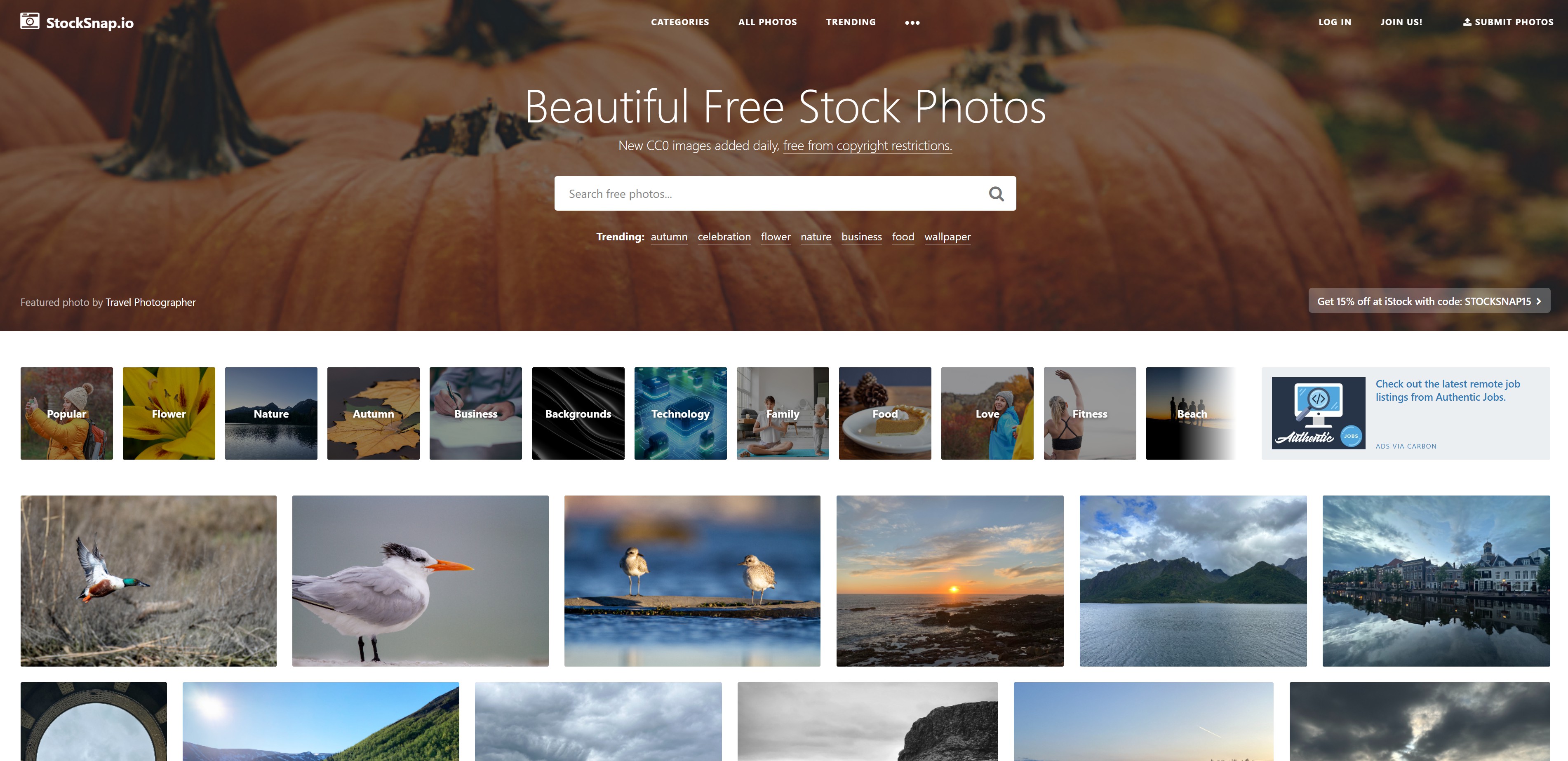 Top 10 Free Image Sites - 7) StockSnap.io - Fast Search, Clean Interface
