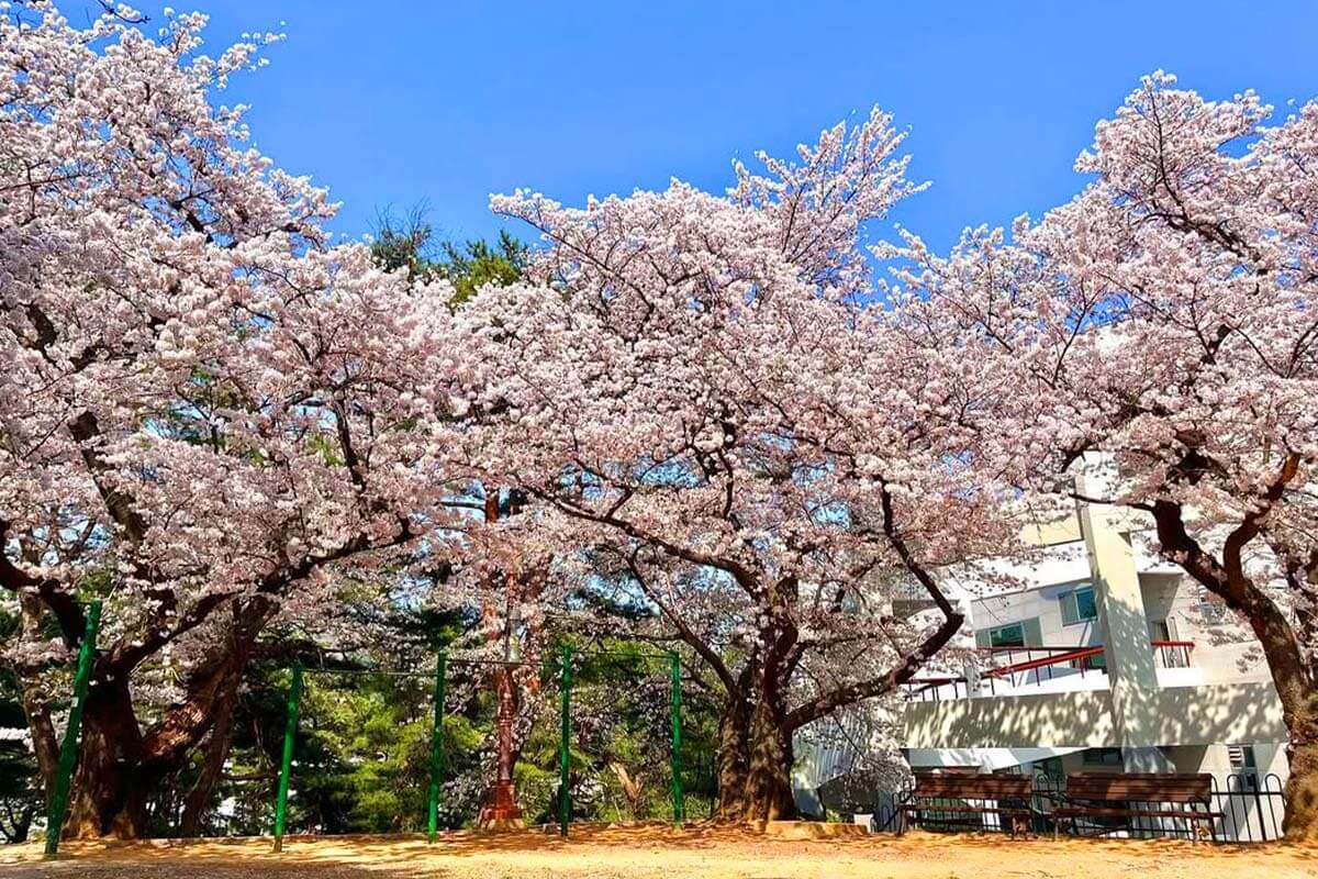 발한도서관