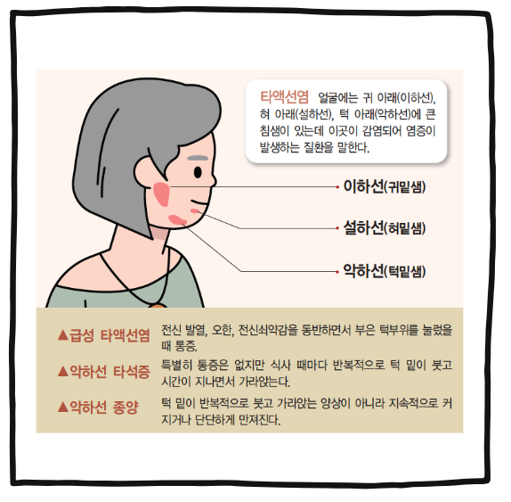 침샘 질환들