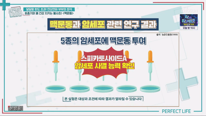 호흡기 및 폐건강에 좋은 백문동