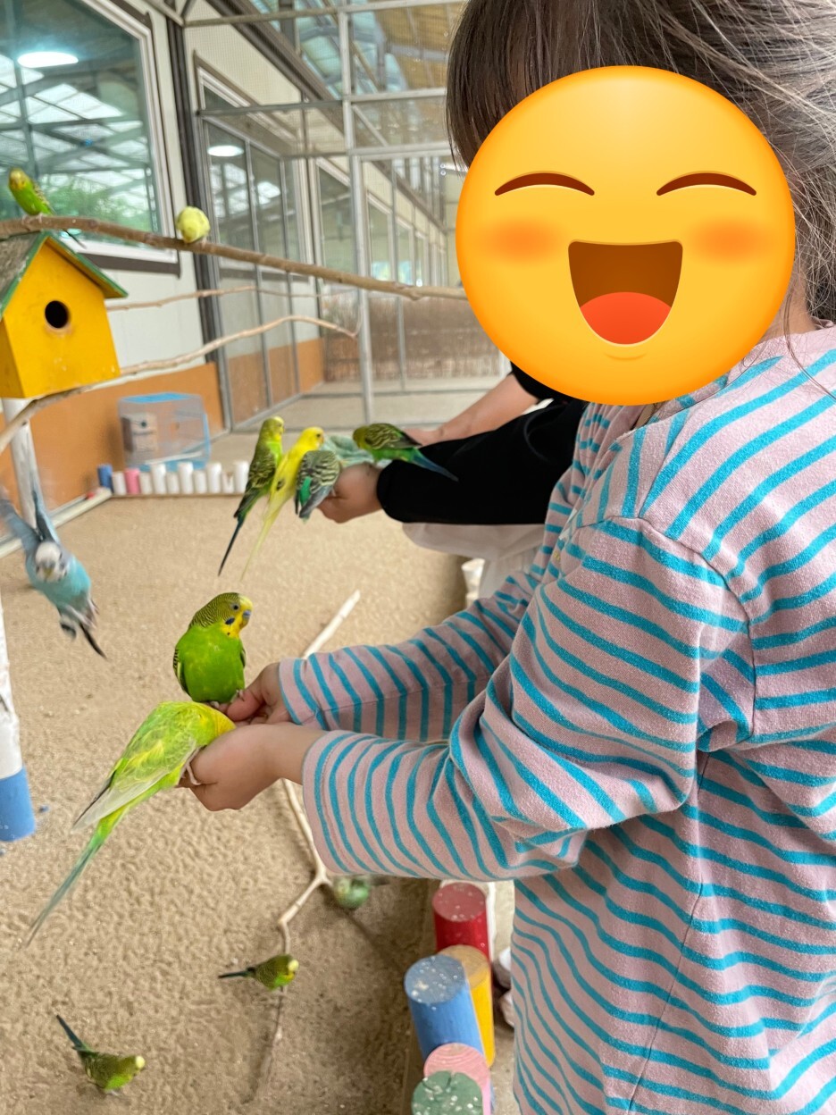 개과천선의 여행정보_강원도 홍천 동키마을 방문 후기 및 정보 (가족 나들이, 아이들과 나들이, 홍천 가볼만한 곳)