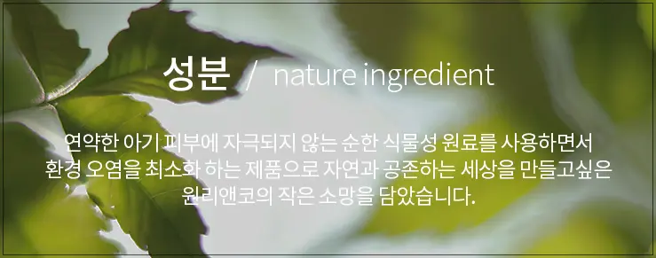 윌리앤코-홈페이지-성분