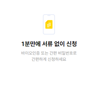 소액대출 300만원