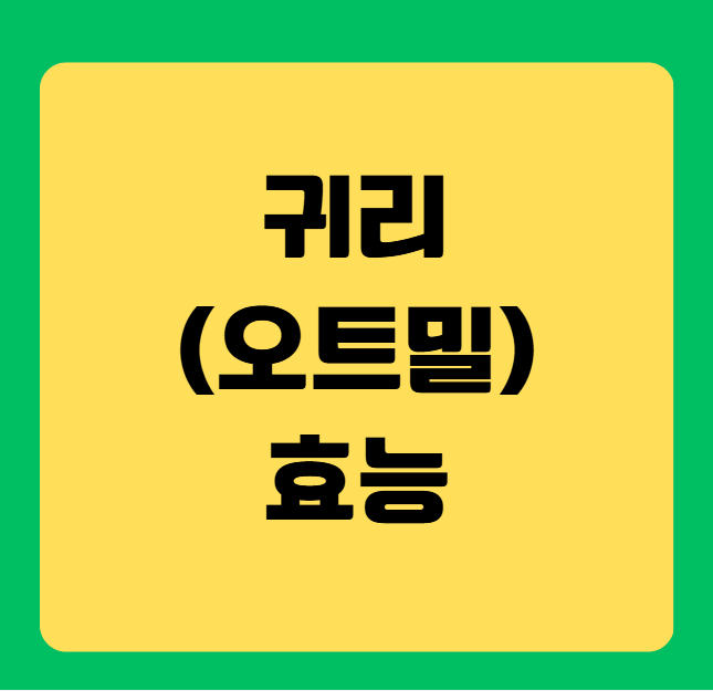 귀리(오트밀)의 효능 및 효과(혈당 조절, 콜레스테롤 조절)