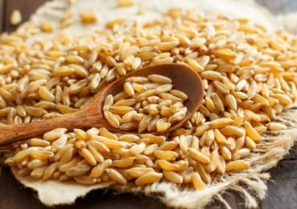 카무트 효소의 효능