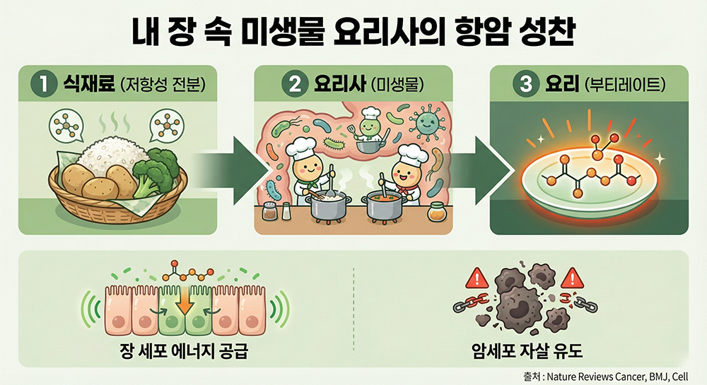 부티레이트 음식, 착한 탄수화물, 저항성 전분의 비밀