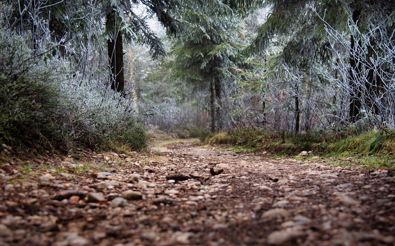 등산
