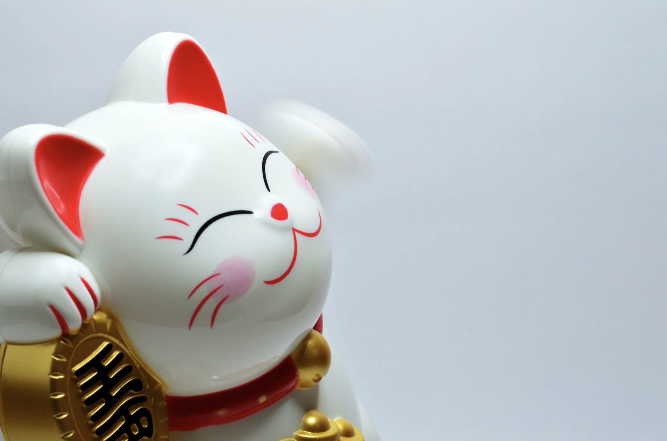 일본 행운의 동전 고양이