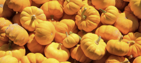 농산물 품질 등급의 비밀: 알고 사면 더 현명해집니다