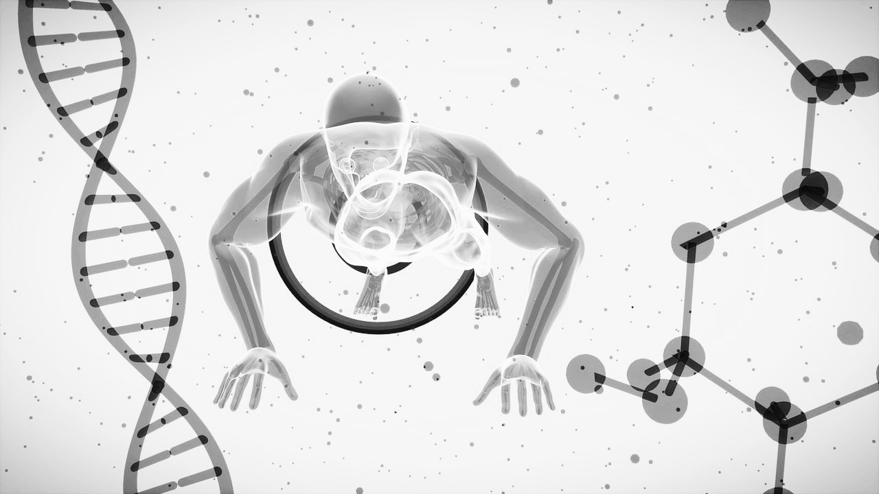 면역력과 관련된 사진