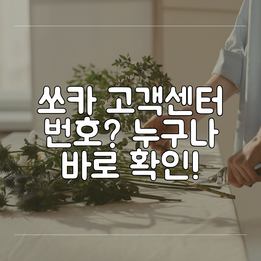 쏘카 고객센터 번호 누구나 바로 확인!
